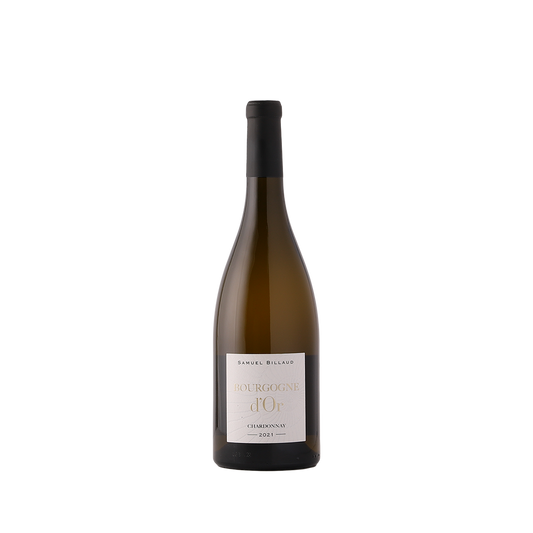 2021 Samuel Billard Bourgogne d'Or Chardonnay