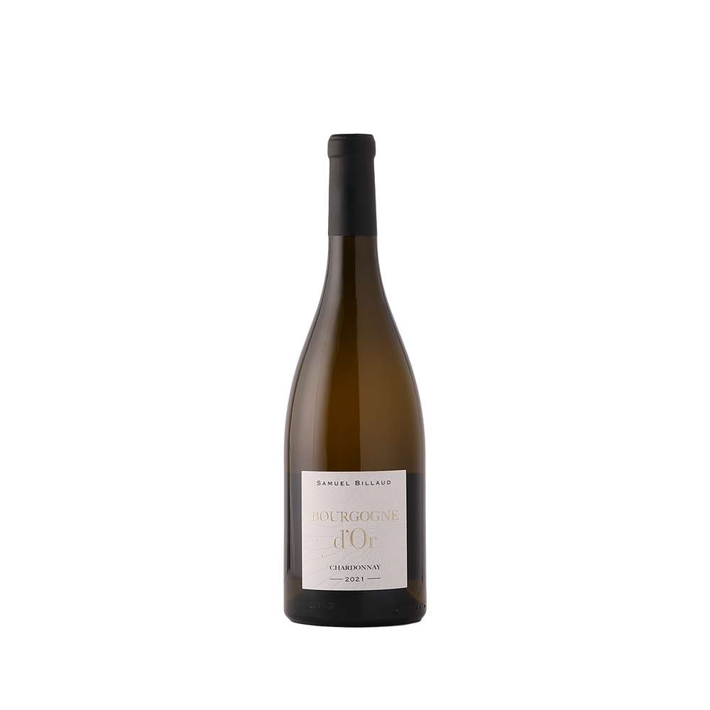 2021 Samuel Billard Bourgogne d'Or Chardonnay